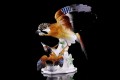 11550_1.jpg