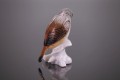 11786_2.jpg