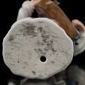 R169_6.jpg
