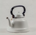 R264_1.jpg
